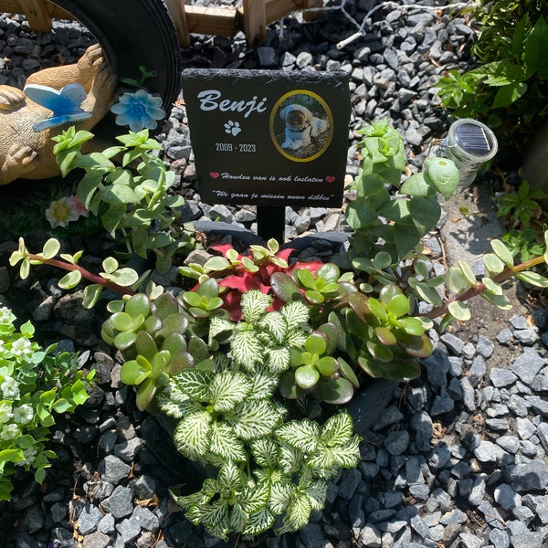 Plaque Commémorative Personnalisée Pour Chien Ou Chat - Acrylique, Blanc, Résistante Aux Intempéries