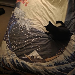 Olivia added a photo of their purchase