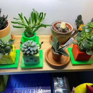 Emma added a photo of their purchase