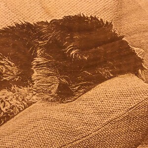 Jenny added a photo of their purchase