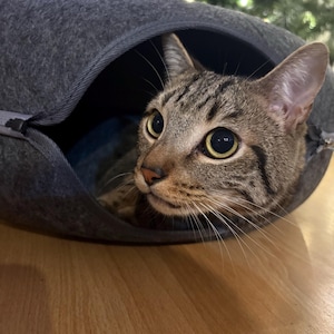 Dara heeft een foto van de aankoop toegevoegd