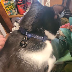 Amanda added a photo of their purchase