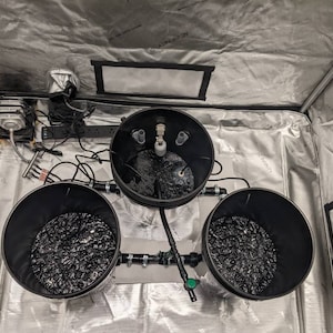 Tim added a photo of their purchase