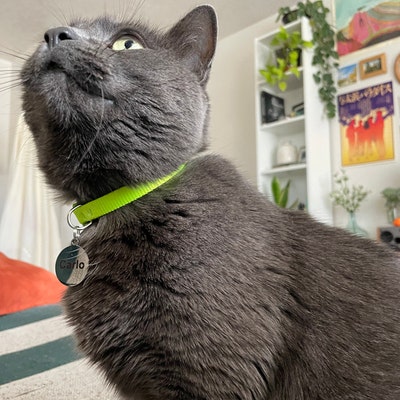 Break Away Collar For Cats Cat Collar Breakaway 2 Pcs Cat Collars Breakaway With Bell And Bowtie Adjustable Small Puppy Safety Collar Solid Color Plaid Pet Collar For Cats Kittens Cute Kitten