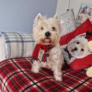 Weihnachts-Hundehalstücher – 2er Set Karo-Schals Für Hunde & Katzen | Verstellbar, Waschbar, Für Kleine Bis Große Haustiere