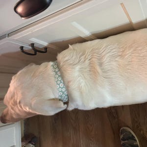 Emily added a photo of their purchase
