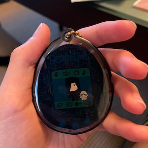 Sam added a photo of their purchase