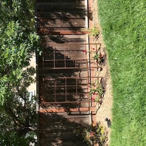 Patricia added a photo of their purchase