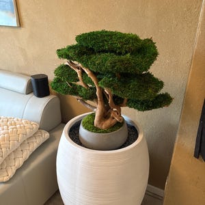 Martin added a photo of their purchase