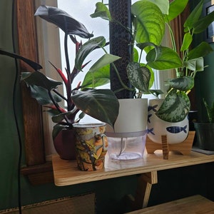 Catheryne added a photo of their purchase