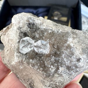 Elizabeth added a photo of their purchase