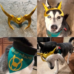 Mandy added a photo of their purchase