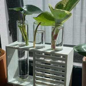 Jenny added a photo of their purchase