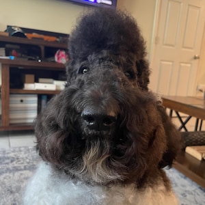 Douglas added a photo of their purchase