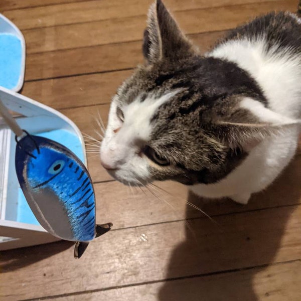 fish flops