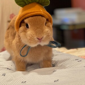 Adora 1 set de chapeau de lapin pochette de carotte adorable petit chapeau petit 