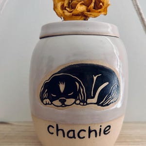 Q added a photo of their purchase
