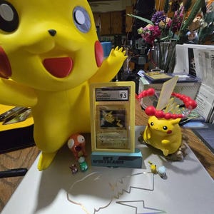 David added a photo of their purchase