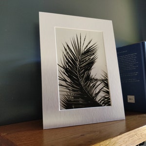 Holly added a photo of their purchase