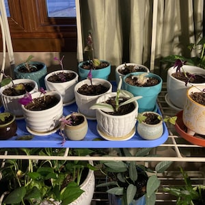 Brenda added a photo of their purchase