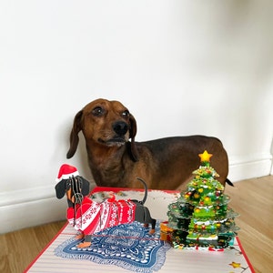 Kris a ajouté une photo de son achat