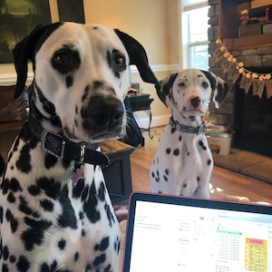 R added a photo of their purchase