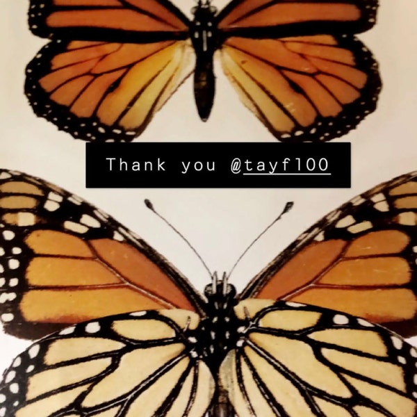 Printable Art | Monarch Butterfly Printable | Monarch Printable ...