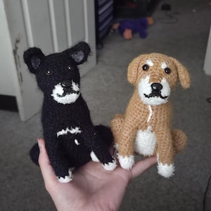 jasper added a photo of their purchase