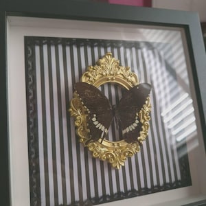 Rosette added a photo of their purchase