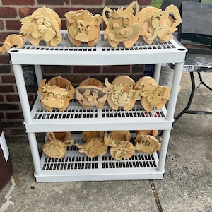 Steve added a photo of their purchase