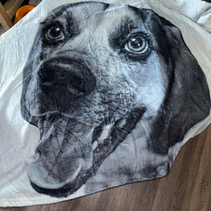 Kate added a photo of their purchase