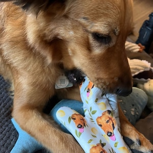 Christelle added a photo of their purchase