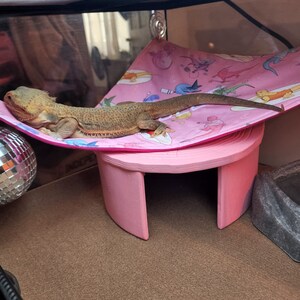 bearded dragon cuddle cave
