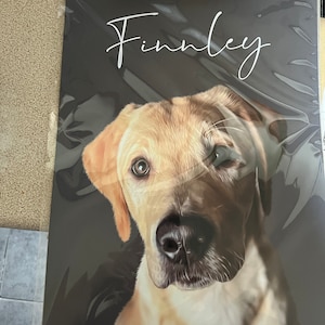Louise added a photo of their purchase