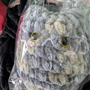 Teresa added a photo of their purchase