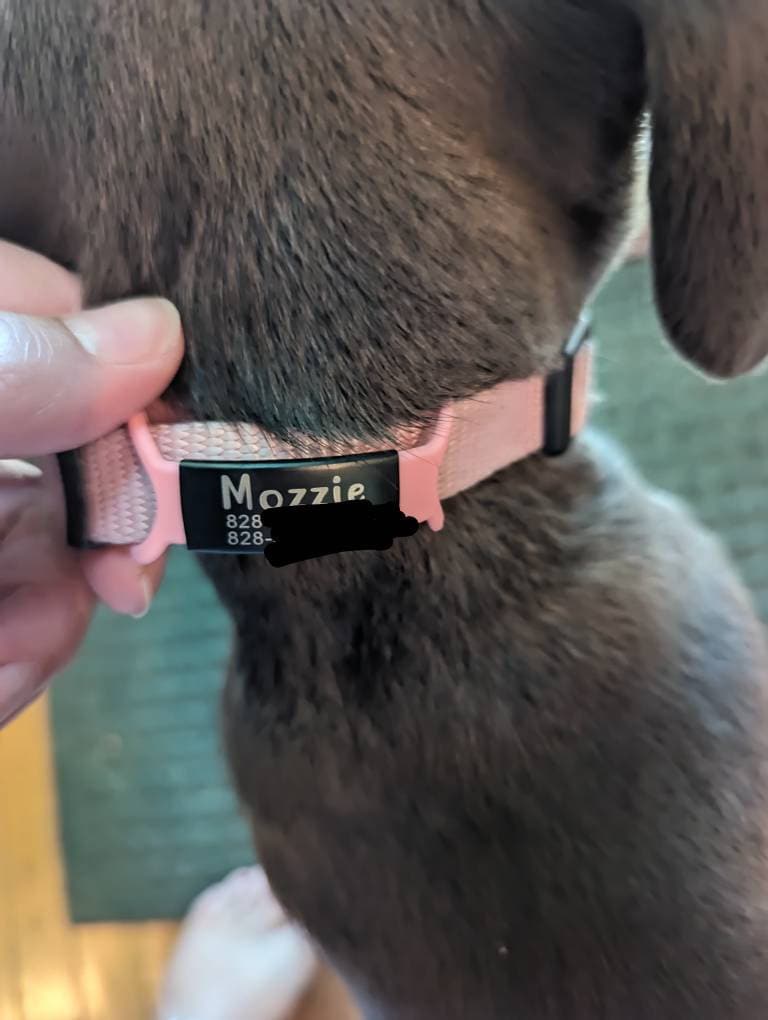 Custom Durable Slide Pet ID Tag🐶🐱,Personalized Name Silicone Dog Tag, Gift for Dog Owner