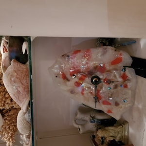 Gurudaya added a photo of their purchase