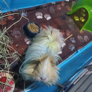 Izekial added a photo of their purchase