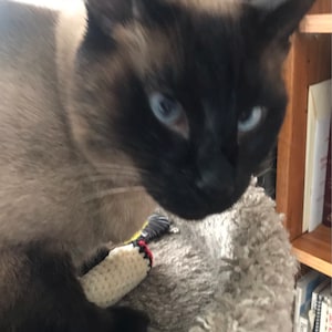 Ashley heeft een foto van de aankoop toegevoegd