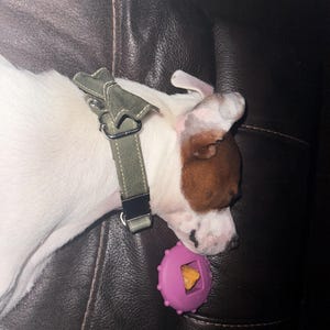 Bonnie added a photo of their purchase