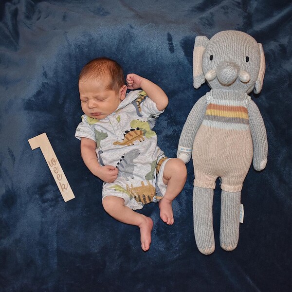 Baby Milestone Cards - Monthly Baby Photo Prop - Baby Shower Gift ...