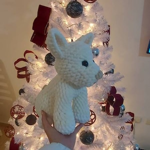 Abigail added a photo of their purchase