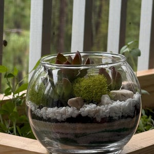 Anton ha aggiunto una foto del proprio acquisto