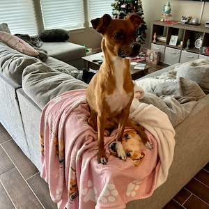 Esme added a photo of their purchase