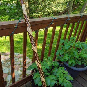 Steve added a photo of their purchase