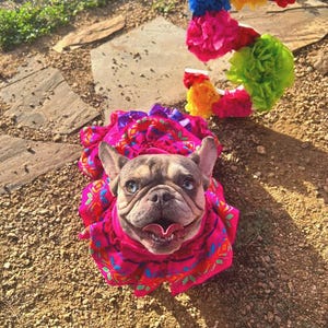 Nicole added a photo of their purchase