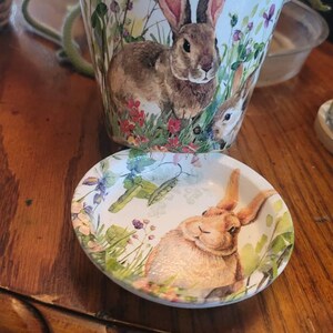 Bunny Flower Pot With Saucer: Decoupage Floral Clay Pot (5 Inch