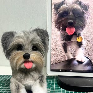 Kim added a photo of their purchase