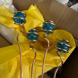 Emily added a photo of their purchase