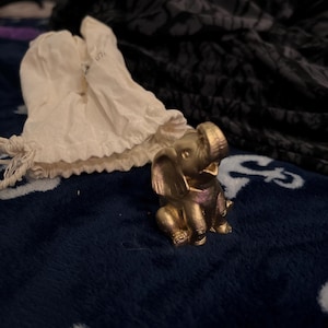 Elorea added a photo of their purchase